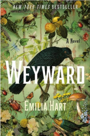 Cover of Wayward