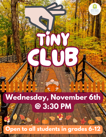 Flier for Tiny Club November