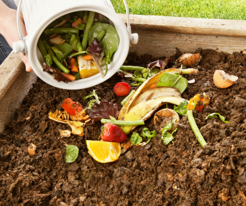 kitchen scraps being dumped into a composting container