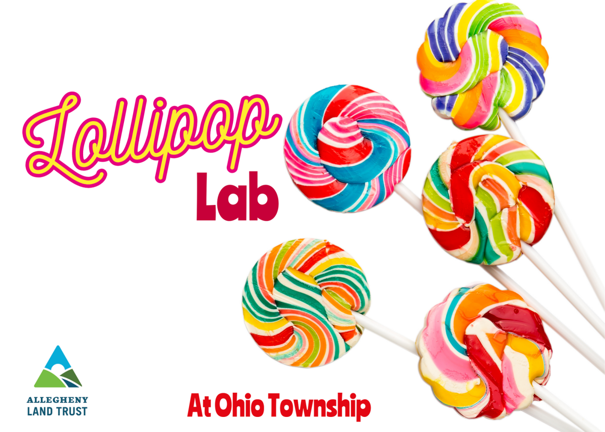 Lollipop Lab