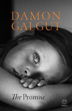 cover of The Promise by Damon Galgut